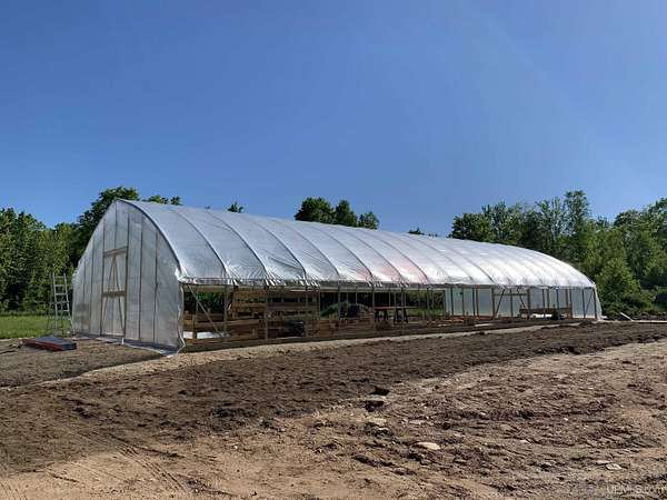 80 Acres of Land for Sale in Chatham, Michigan