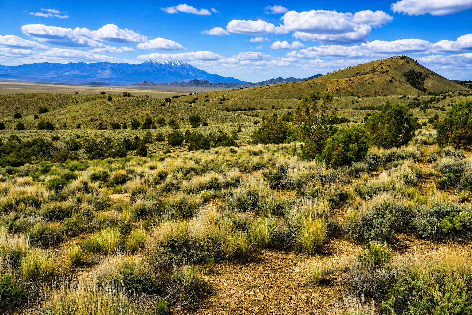 2 Acres of Residential Land for Sale in Elko, Nevada