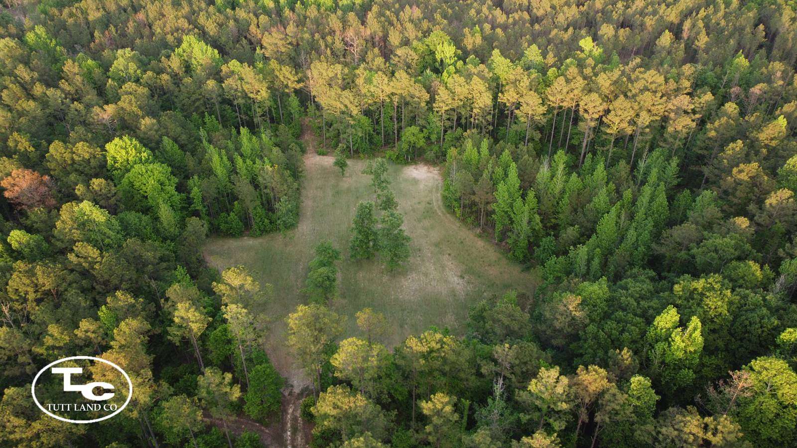80 Acres of Land for Sale in York, Alabama