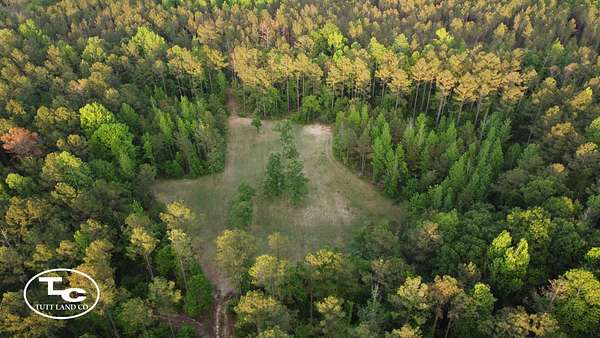 80 Acres of Land for Sale in York, Alabama