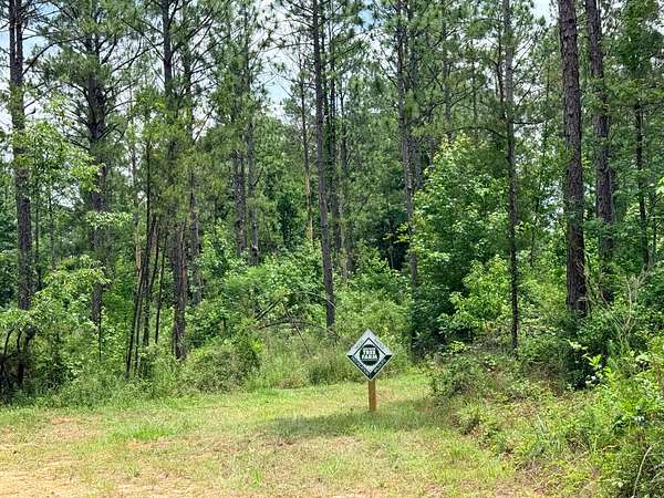 80 Acres of Land for Sale in York, Alabama