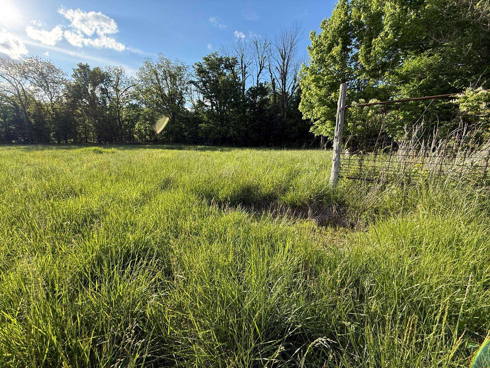 3.3 Acres of Residential Land for Sale in Golconda, Illinois