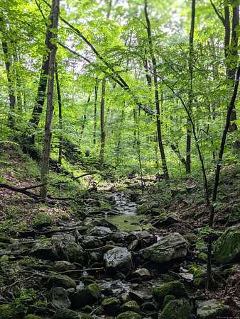 12.2 Acres of Land for Sale in Kent, Connecticut