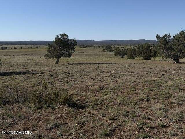 40.6 Acres of Recreational & Residential Land for Sale in Ash Fork, Arizona