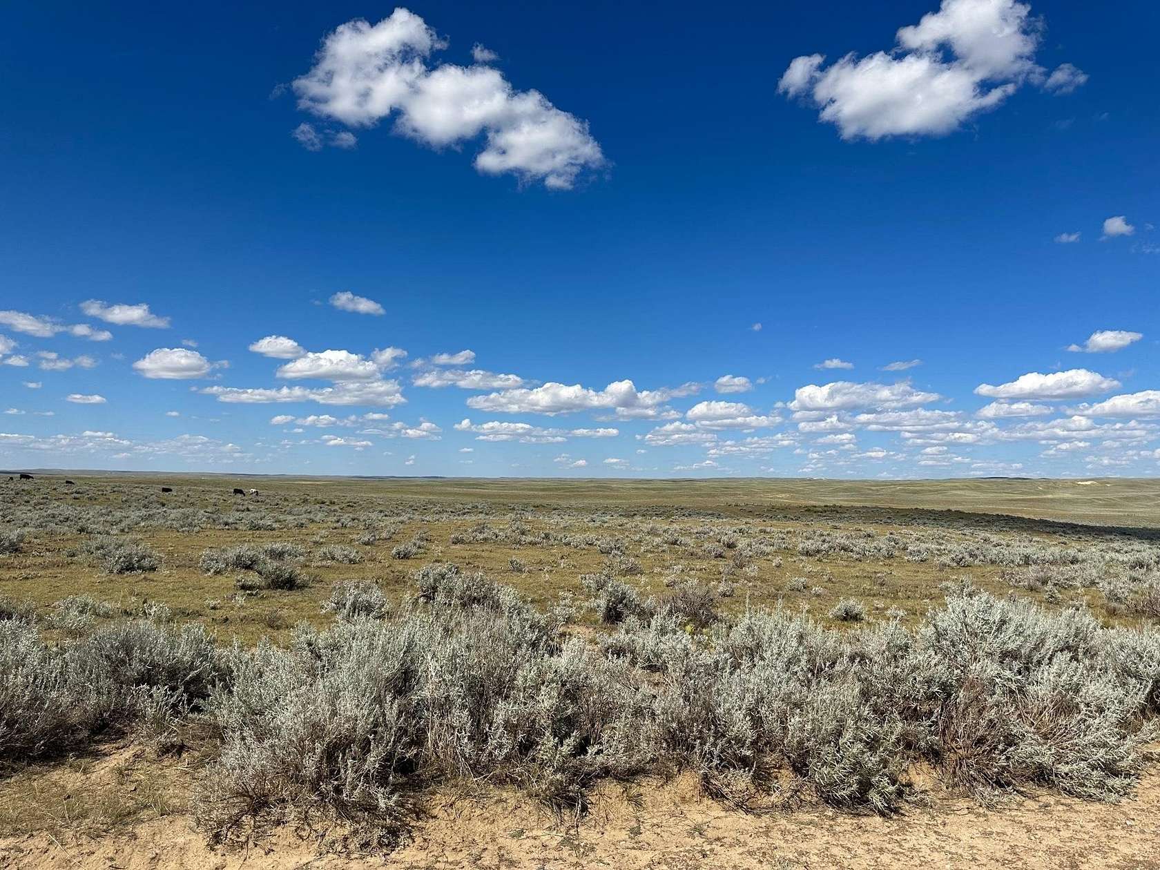 80.3 Acres of Recreational & Residential Land for Sale in Casper, Wyoming