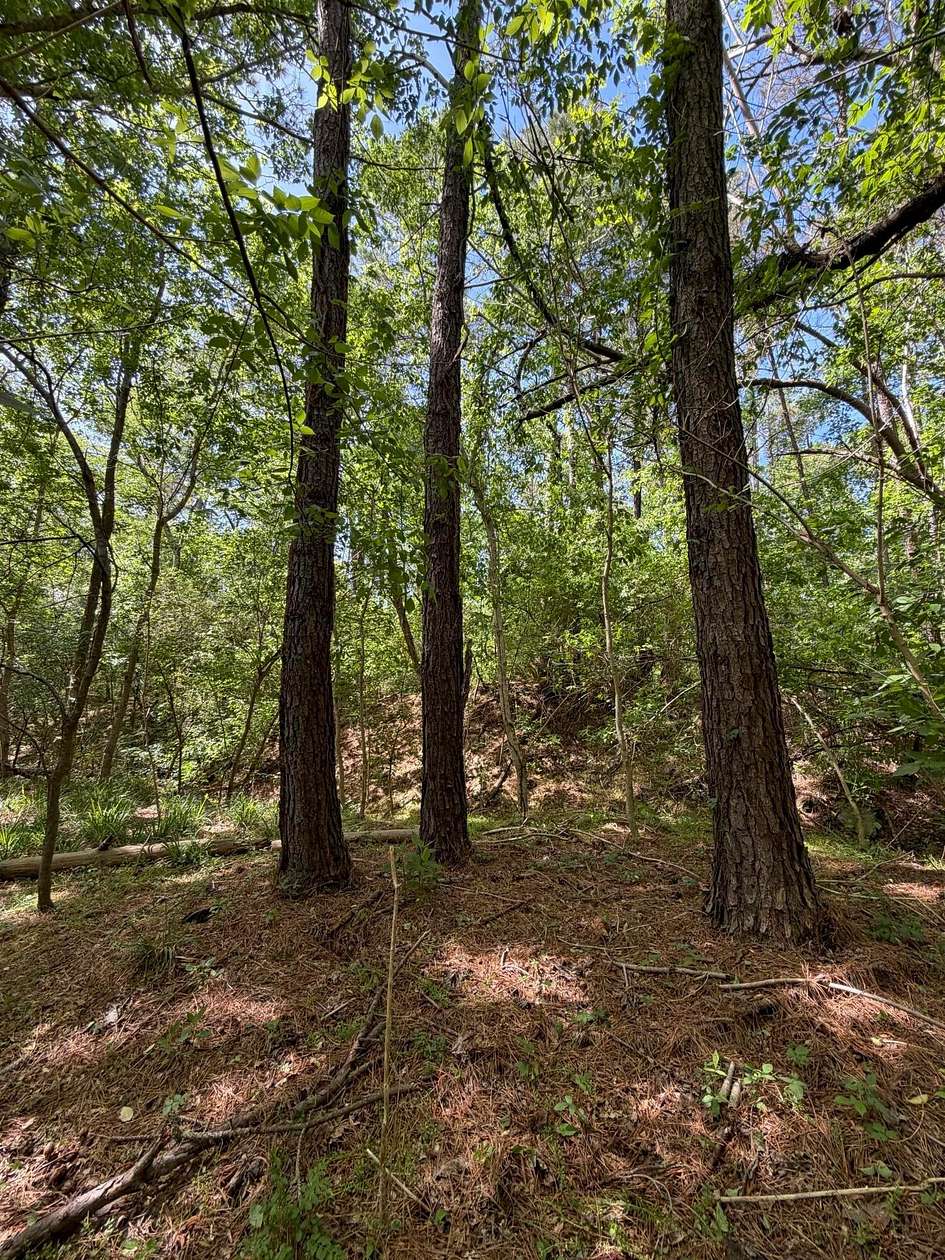 4.2 Acres of Land for Sale in Parrish, Alabama
