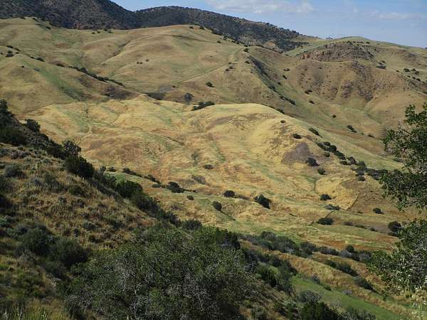 594 Acres of Agricultural & Residential Land for Sale in Panoche, California