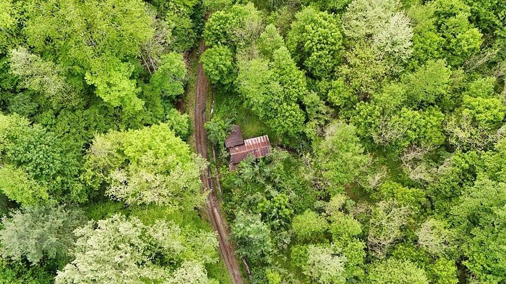 213 Acres of Recreational & Residential Land for Sale in Mouthcard, Kentucky