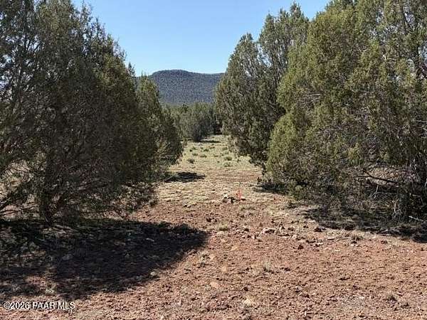 39.3 Acres of Recreational Land for Sale in Seligman, Arizona