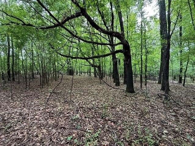 45.6 Acres of Land for Sale in Collierville, Tennessee