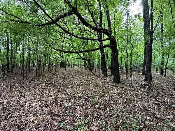 45.6 Acres of Land for Sale in Collierville, Tennessee