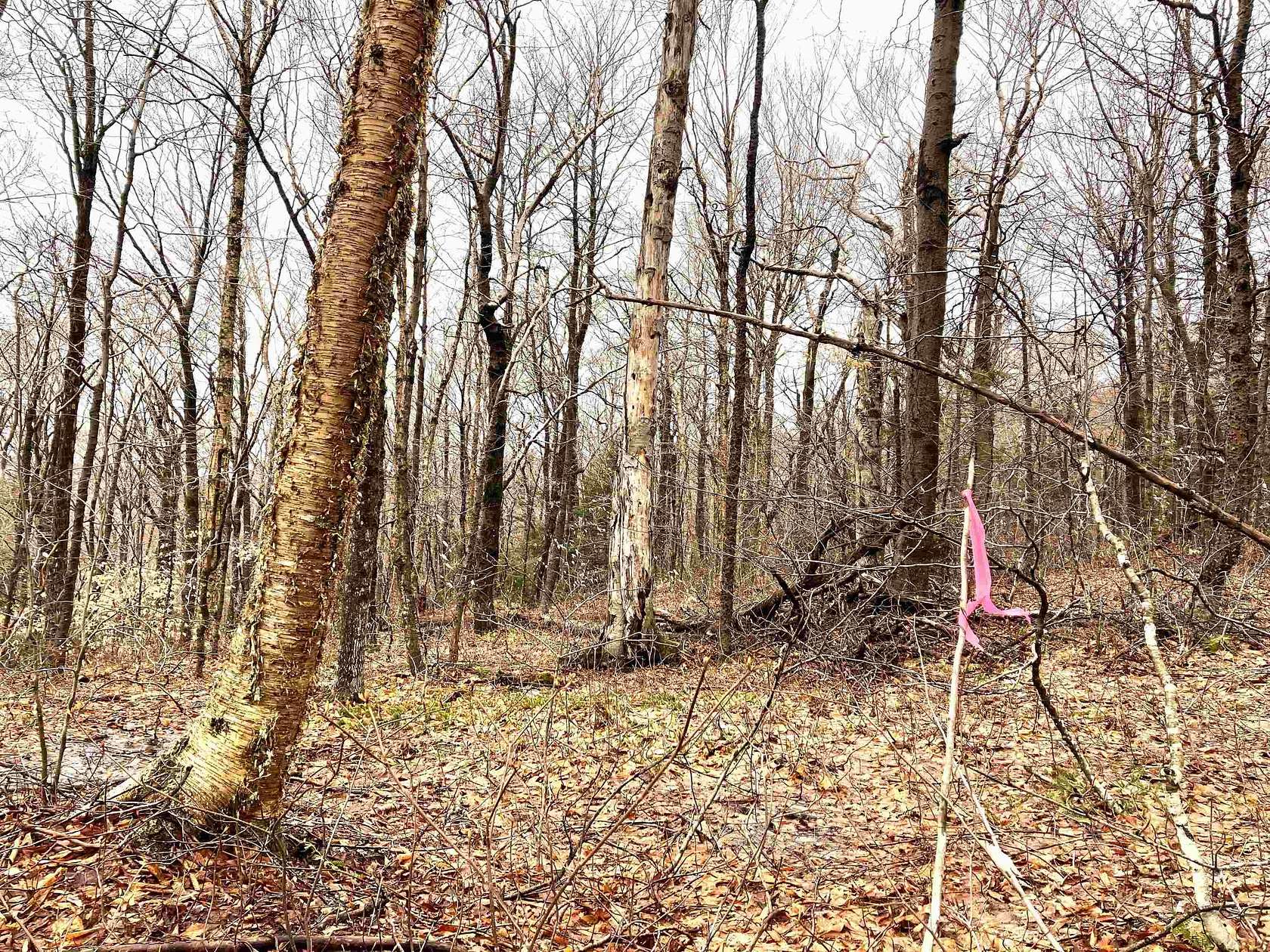 1 Acre of Residential Land for Sale in Wilmington, Vermont