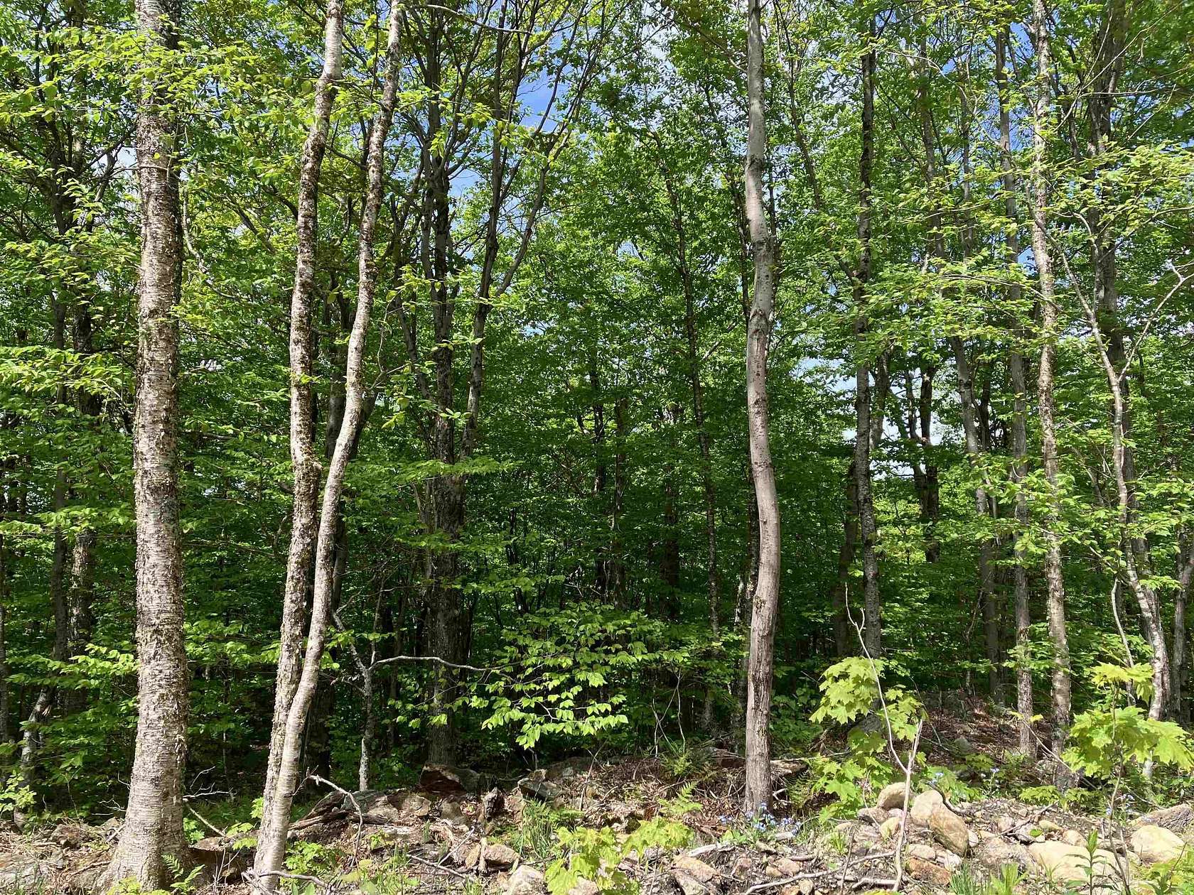 1 Acre of Residential Land for Sale in Wilmington, Vermont