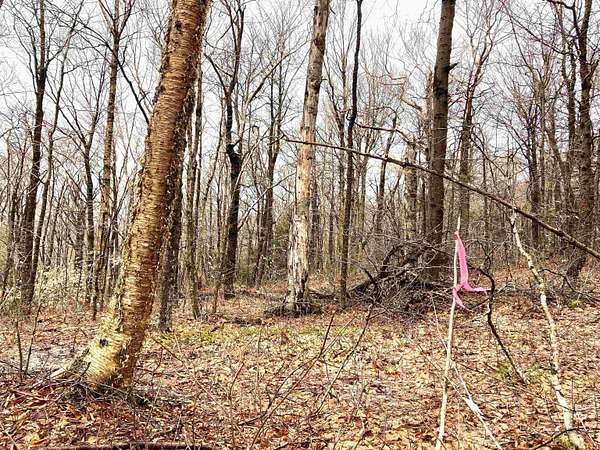 1 Acre of Residential Land for Sale in Wilmington, Vermont