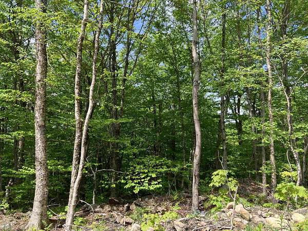 1 Acre of Residential Land for Sale in Wilmington, Vermont
