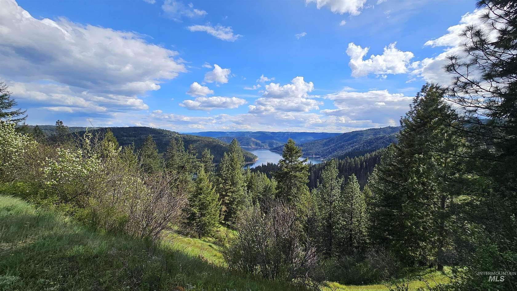 334 Acres of Recreational Land for Sale in Lenore, Idaho