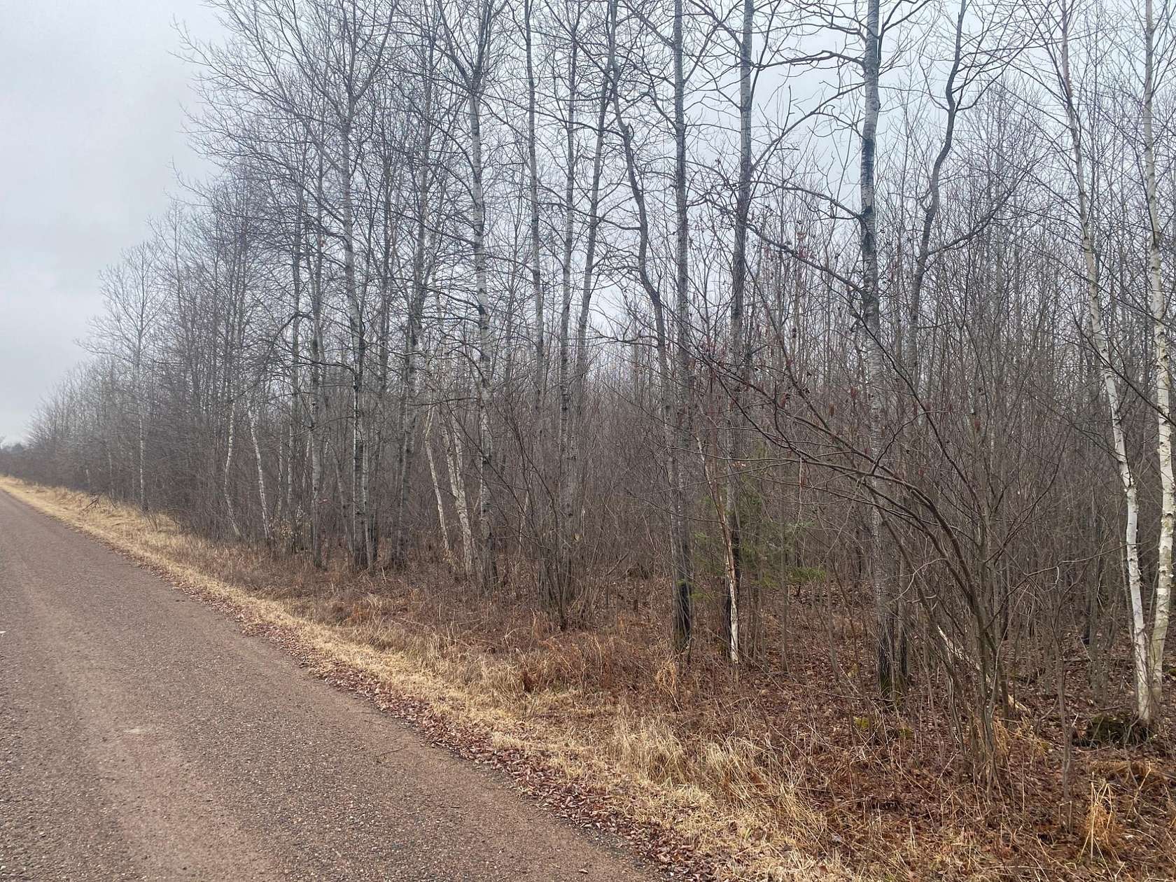 60 Acres of Land for Sale in Ogema, Wisconsin