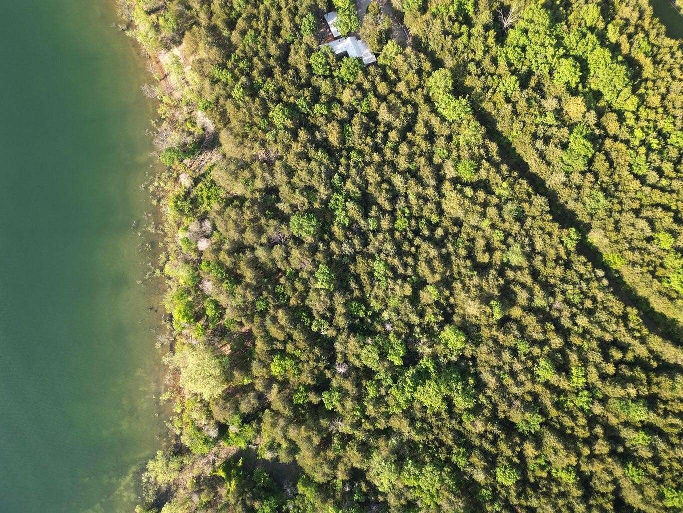 1 Acre of Residential Land for Sale in Shell Knob, Missouri