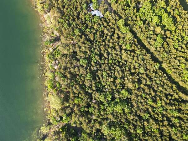 1 Acre of Residential Land for Sale in Shell Knob, Missouri