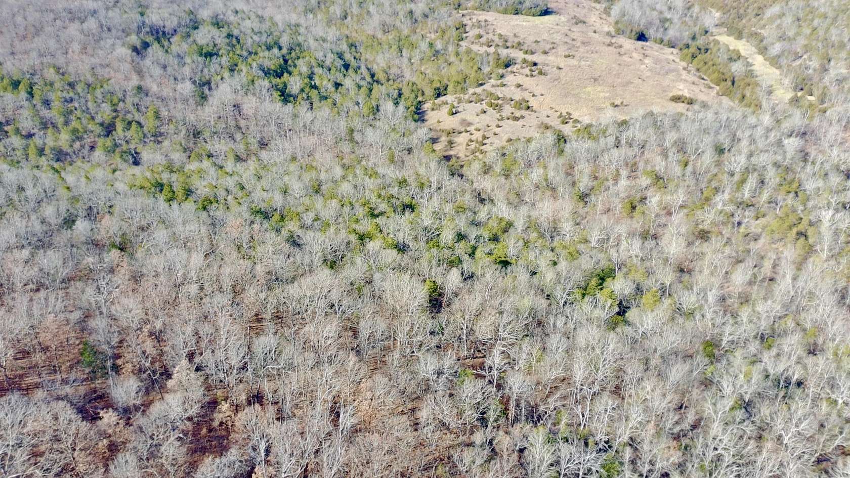 10 Acres of Land for Sale in Gainesville, Missouri