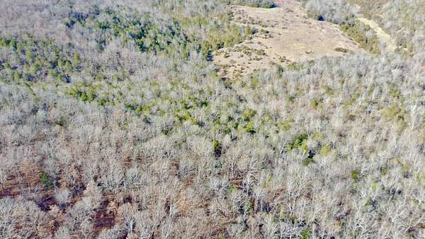 10 Acres of Land for Sale in Gainesville, Missouri
