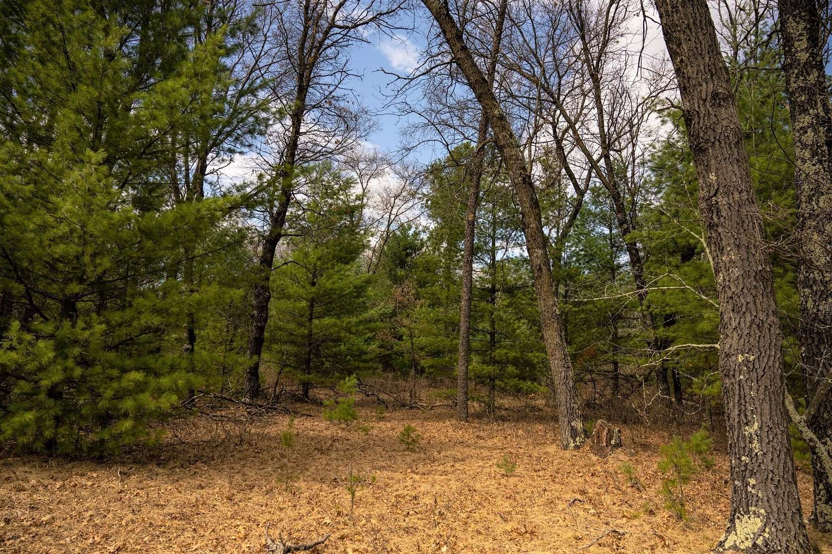 1 Acre of Residential Land for Sale in Friendship, Wisconsin