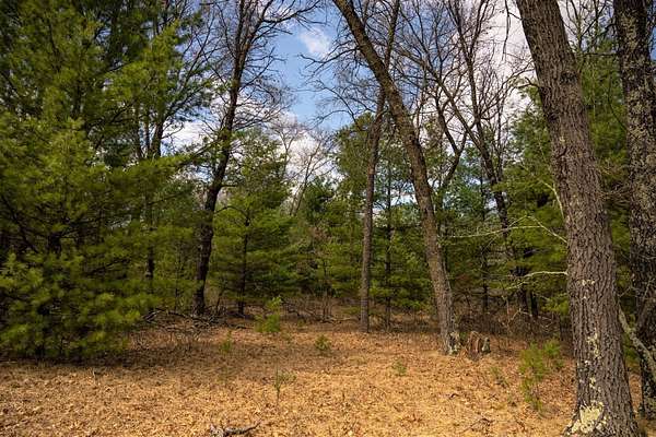 1 Acre of Residential Land for Sale in Friendship, Wisconsin