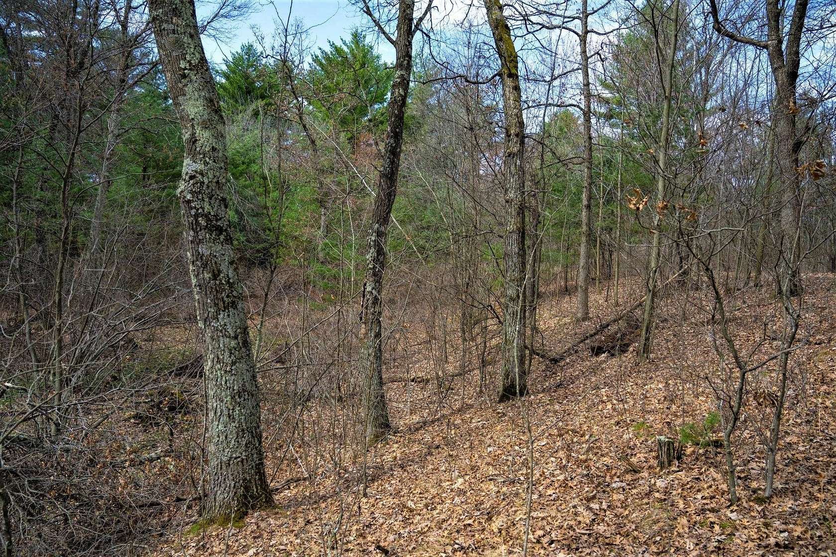 1 Acre of Residential Land for Sale in Friendship, Wisconsin
