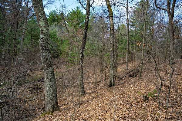 1 Acre of Residential Land for Sale in Friendship, Wisconsin