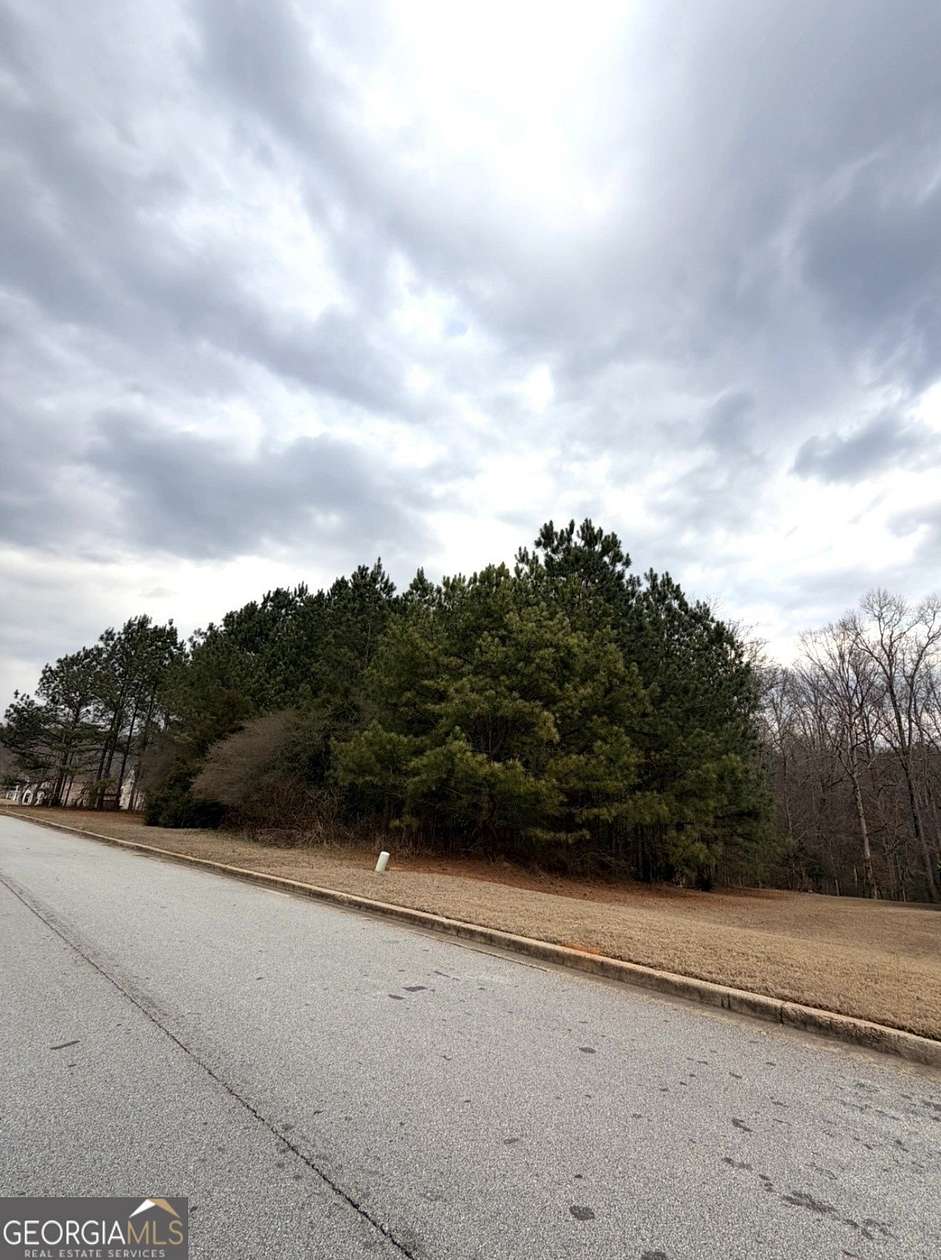 1 Acre of Residential Land for Sale in Stockbridge, Georgia