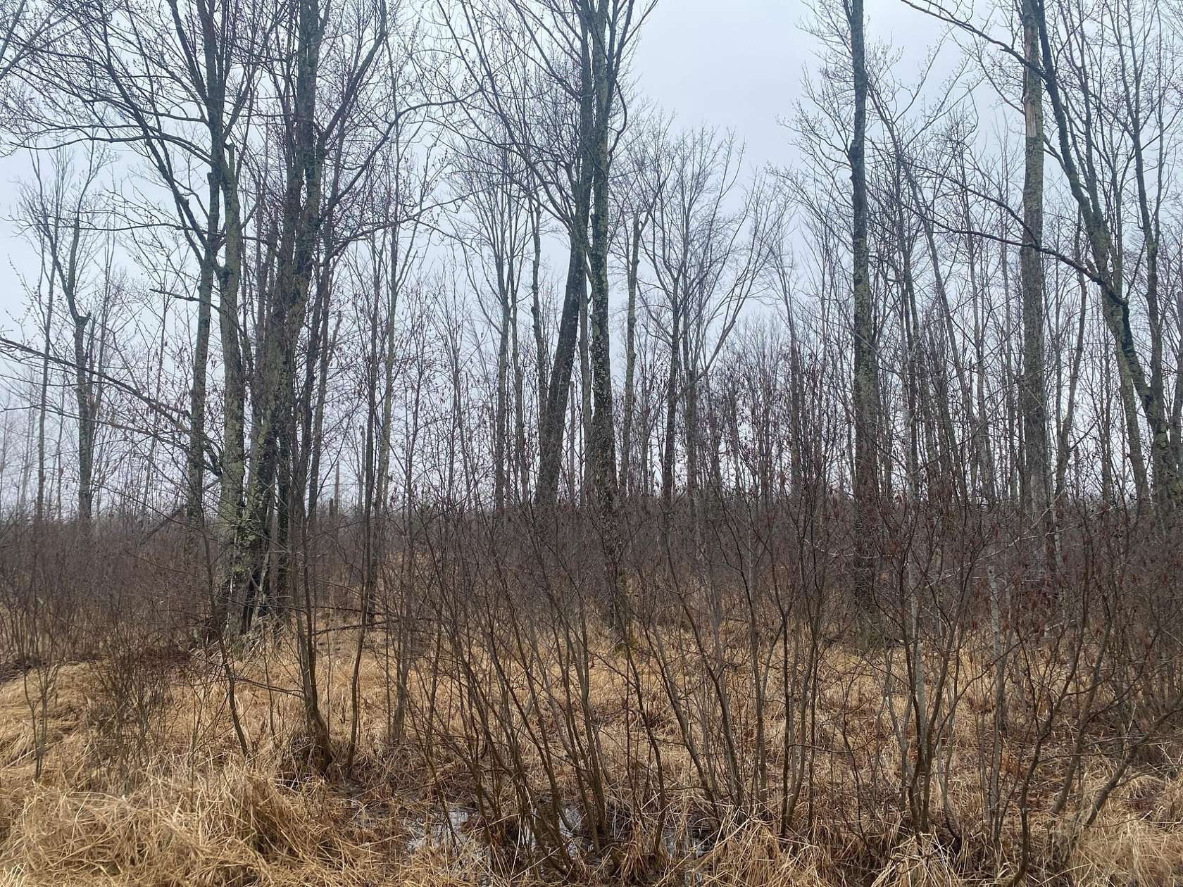 40 Acres of Land for Sale in Ogema, Wisconsin