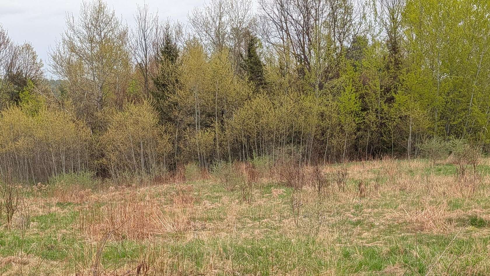 3 Acres of Residential Land for Sale in Peru, New York
