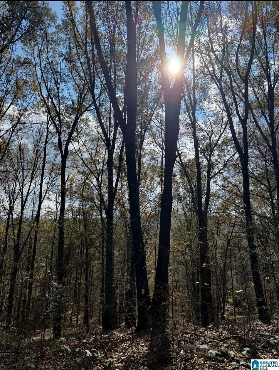 72 Acres of Land for Sale in Oneonta, Alabama