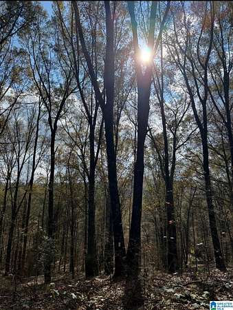 72 Acres of Land for Sale in Oneonta, Alabama