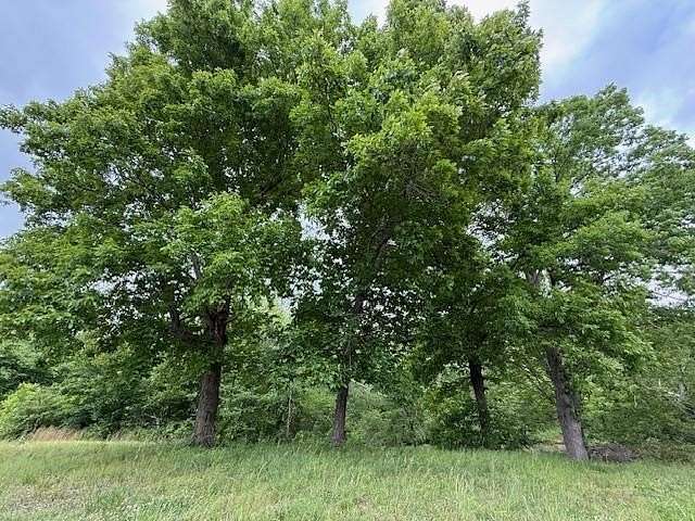14 Acres of Recreational & Residential Land for Sale in Ashland, Mississippi