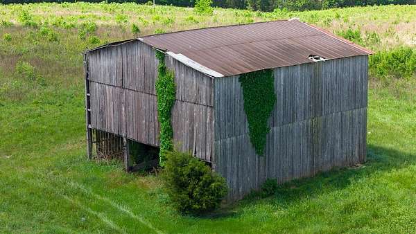 215 Acres of Land for Sale in Auburn, Kentucky