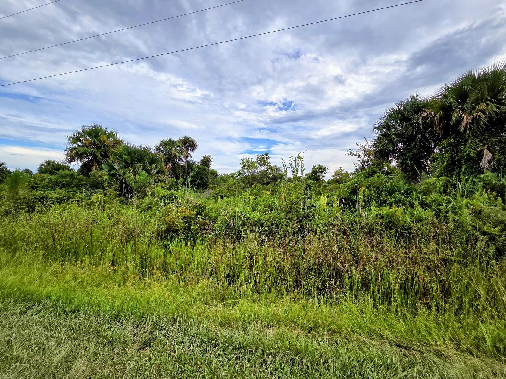 1.25 Acres of Residential Land for Sale in Okeechobee, Florida