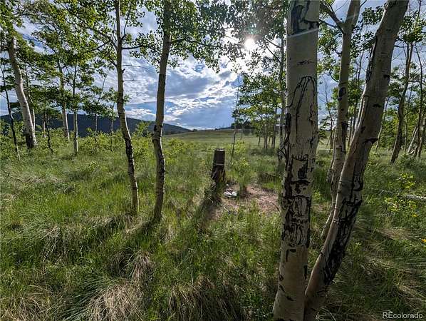 2 Acres of Residential Land for Sale in Fort Garland, Colorado