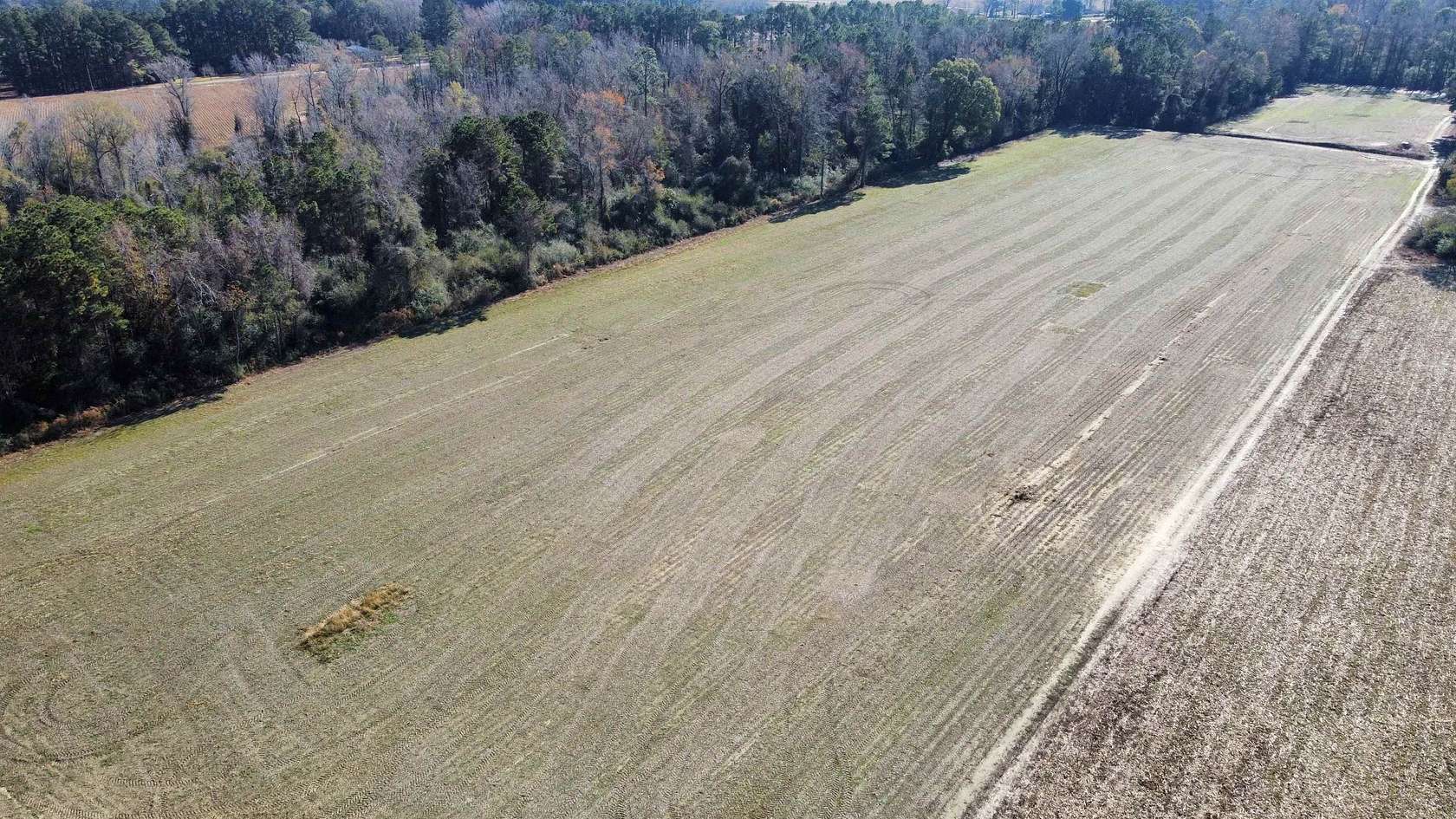 20.9 Acres of Land for Sale in Nichols, South Carolina
