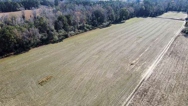 20.9 Acres of Land for Sale in Nichols, South Carolina