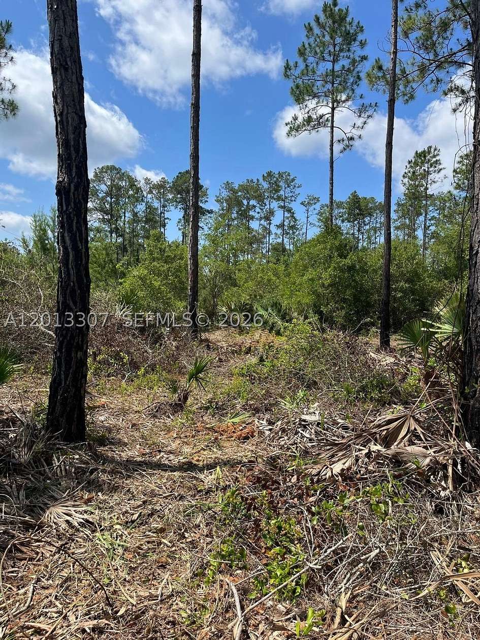 1.29 Acres of Residential Land for Sale in Georgetown, Florida
