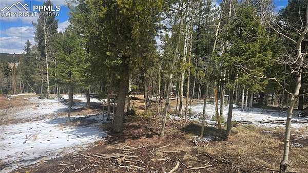 0.48 Acres of Residential Land for Sale in Florissant, Colorado