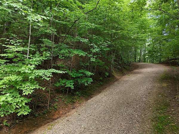 0.21 Acres of Residential Land for Sale in Blairsville, Georgia