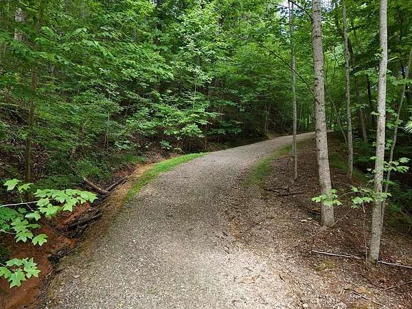 0.21 Acres of Residential Land for Sale in Blairsville, Georgia