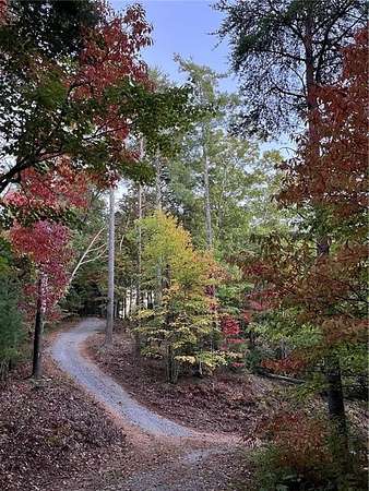 20.6 Acres of Recreational & Residential Land for Sale in Ellijay, Georgia