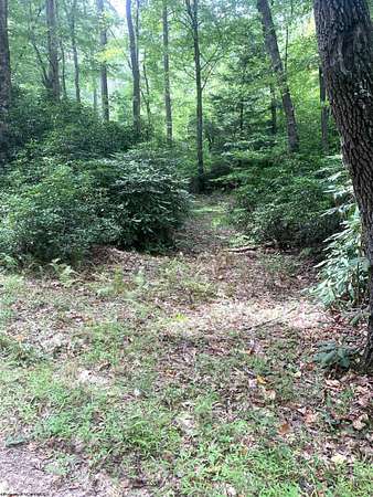6.4 Acres of Residential Land for Sale in Belington, West Virginia
