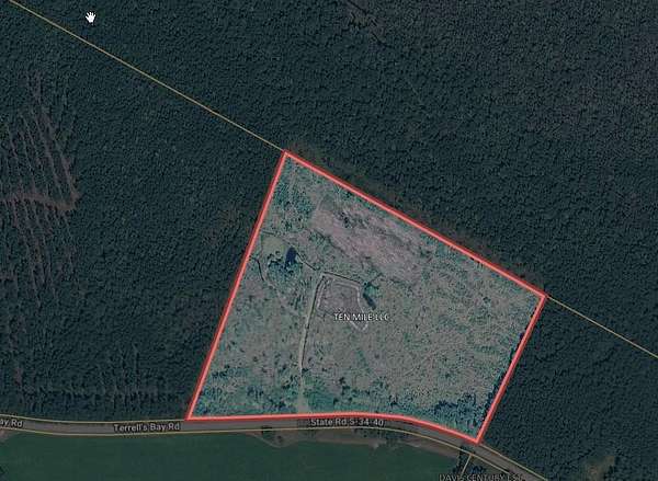 65 Acres of Recreational Land for Sale in Centenary, South Carolina