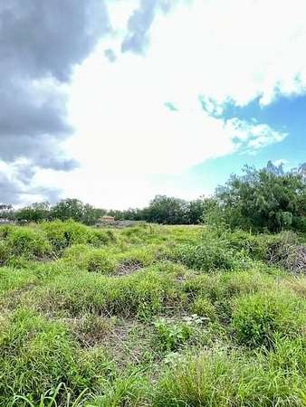 0.58 Acres of Residential Land for Sale in Weslaco, Texas