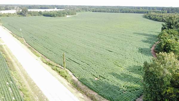 65.2 Acres of Land for Sale in Green Sea, South Carolina