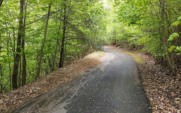 1.67 Acres of Residential Land for Sale in Blairsville, Georgia